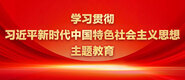 大屌干美女x学习贯彻习近平新时代中国特色社会主义思想主题教育_fororder_ad-371X160(2)